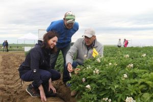 PAPAS Announces Plan to Combat Potato Nematodes