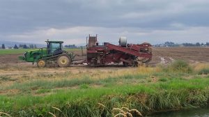 Potato Field Day – Elizabeth City, NC