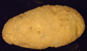 External potato tuber damage caused by Columbia root-knot nematode
