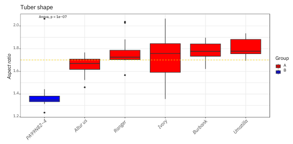 Resistant potato variety PA99N82-4 is not oblong enough for French fry production 