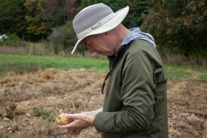 Selecting for Success: Digging up Weeds, Rocks, Potatoes, Oh My!