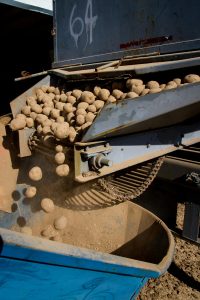 Potato Field Day – Othello, WA