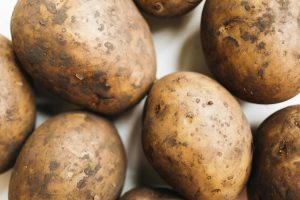 Potato Field Day – Bakersfield, CA