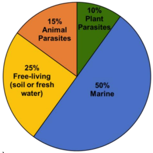 Plant-parasitic nematodes make up about 10% of all nematode species.