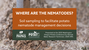soil sampling for potato nematodes