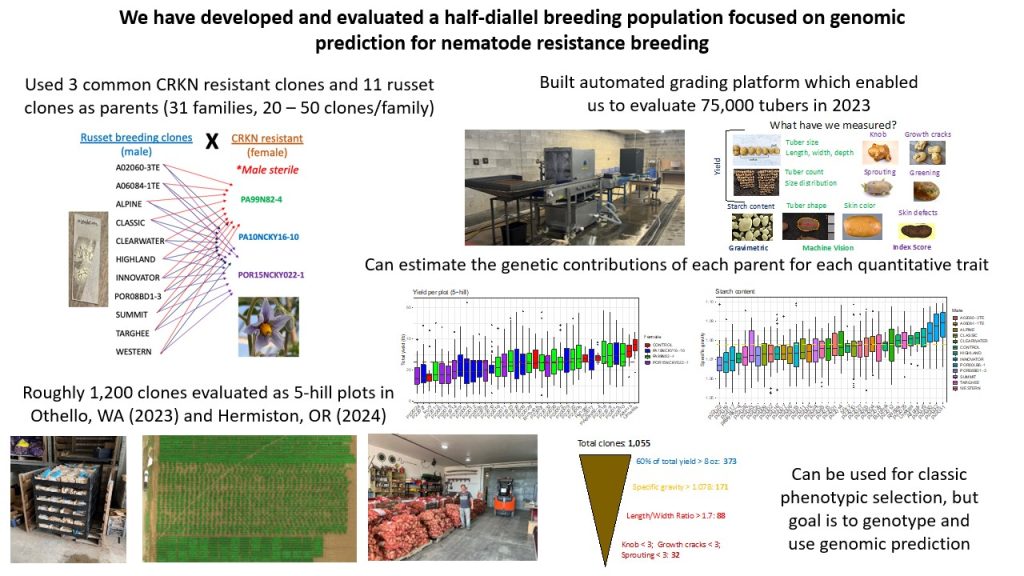 Breeding potato resistance to Columbia root-knot (CRKN) nematode with genomic prediction