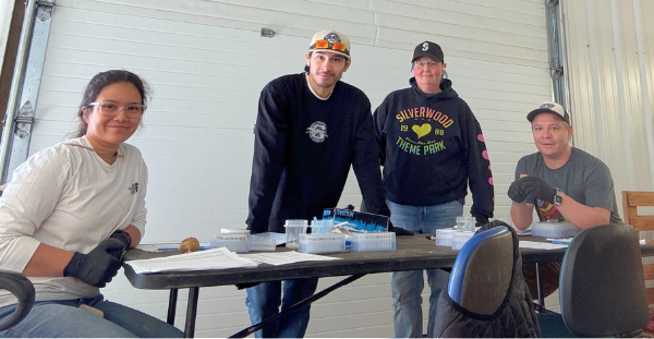 USDA Agricultural Research Service (ARS) potato genetics lab team performing tissue sampling for genotyping.