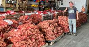 PAPAS Principal Investigator Max Feldman, Ph.D., with potato tubers for evaluation of Columbia root-knot (CRKN) nematode resistance