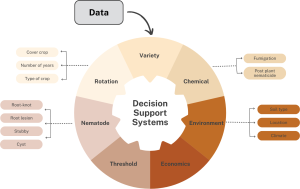 Potato nematode decision support systems help farmers manage infestations and reduce risk