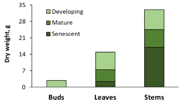 Litchi tomato (Solanum sisymbriifolium) plant biomass for nematicide research
