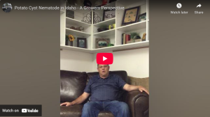 Video clip of Idaho grower describing pale cyst nematode infestation