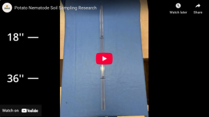 Video clip about researching potato nematode movement in the soil
