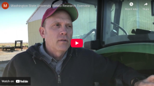 Video clip outlining Washington State University's potato research program