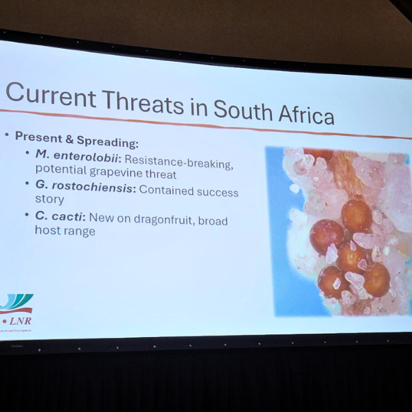 Understanding nematode threats and management success in South Africa 