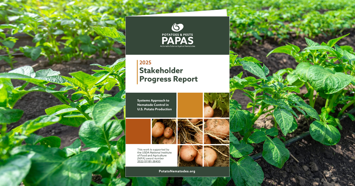PAPAS 2025 Stakeholder Report shows accomplishments in potato nematode research