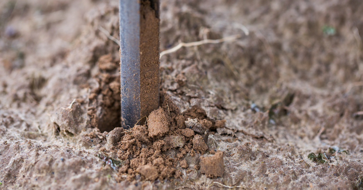 soil sampling for potato nematodes