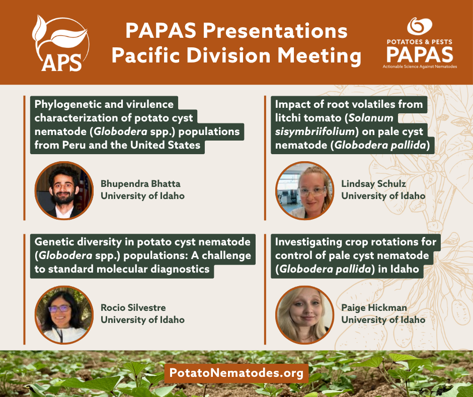The American Phytopathological Society (APS) logo, PAPAS logo, and young potato plants in a field with text that reads: PAPAS Presentations Pacific Division Meeting. Phylogenetic and virulence characterization of potato cyst nematode (Globodera spp.) populations from Peru and the United States, Bhupendra Bhatta, University of Idaho. Genetic diversity in potato cyst nematode (Globodera spp.) populations: A challenge to standard molecular diagnostics, Rocio Silvestre, University of Idaho. Impact of root volatiles from litchi tomato (Solanum sisymbriifolium) on pale cyst nematode (Globodera pallida), Lindsay Schulz, University of Idaho. Investigating crop rotations for control of pale cyst nematode (Globodera pallida) in Idaho, Paige Hickman, University of Idaho. PotatoNematodes.org.
