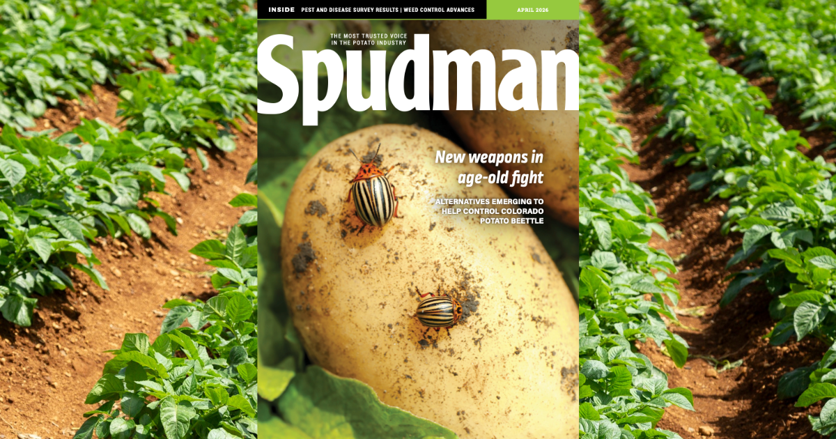 Potatoes growing in field with picture of Spudman magazine April 2026 issue