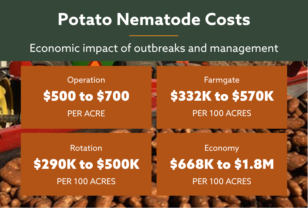 Potato nematode management costs expected