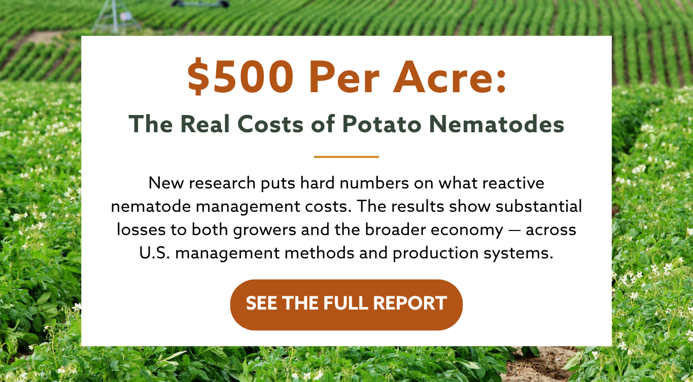 Potatoes growing in a field with text overlay describing new potato nematode economic research from PAPAS