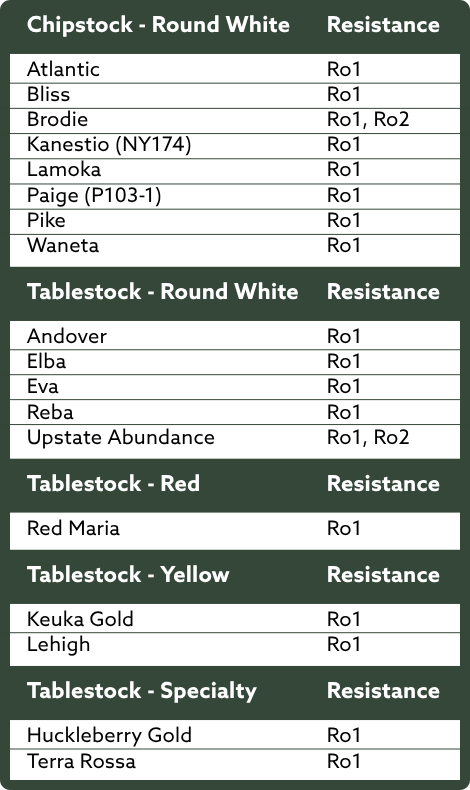 Potato varieties resistant to golden cyst nematode (Globodera rostochiensis) pathotypes Ro1 and Ro2