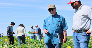 growers and researchers having conversation in potato field