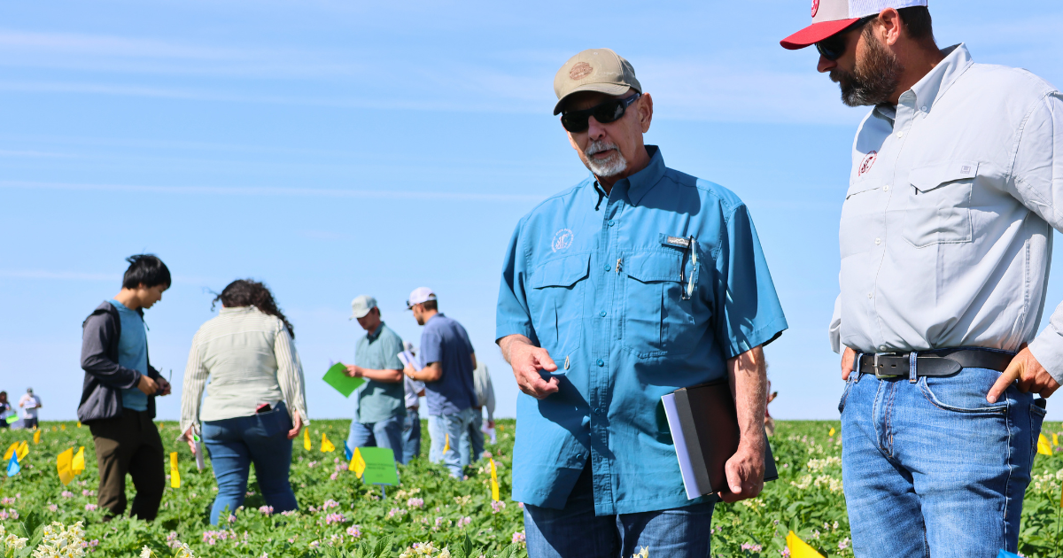 growers and researchers having conversation in potato field