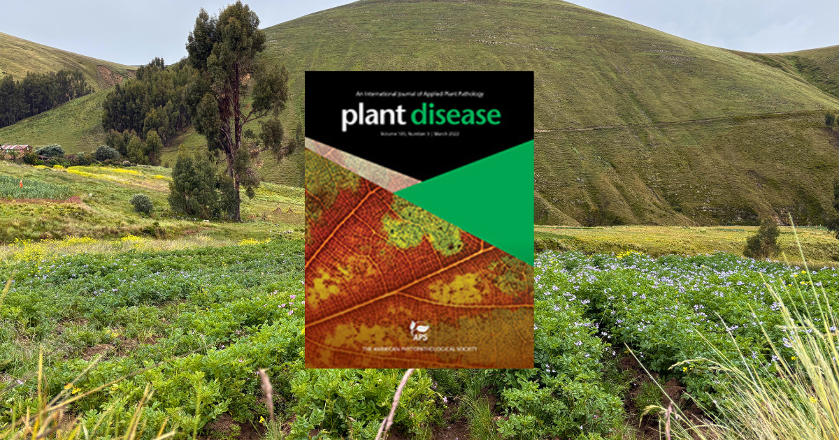 A potato field in the Peruvian Andes with the cover of Plant Disease journal featuring new study about how Peruvian potato cyst nematode populations differ from those in the U.S.A.