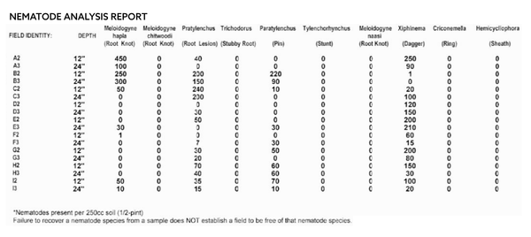 Example of a nematode analysis report from soil sampling
