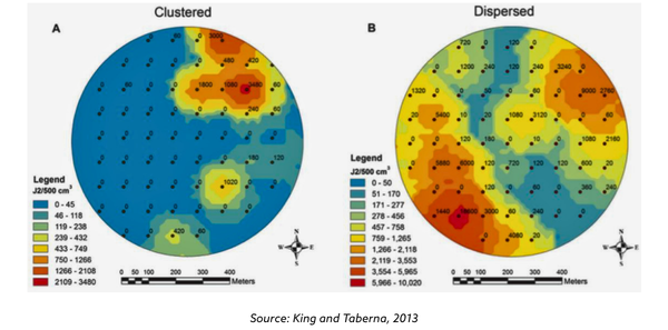 Not all nematodes have the same density ranges or dispersal patterns