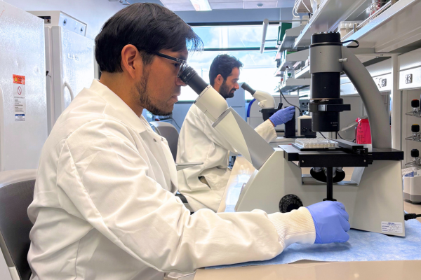 To help growers build an effective nematode sampling program, PAPAS provides a free online directory of nematode diagnostic laboratories at PotatoNematodes.org/Diagnostic-Labs.