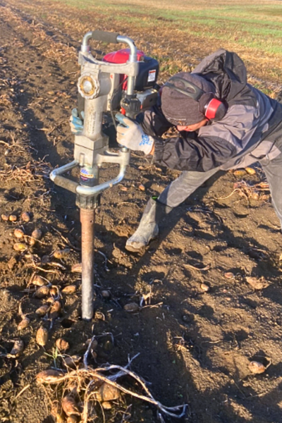 PAPAS researchers evaluate the depth distribution of potato nematodes through multi-season field studies in the Pacific Northwest