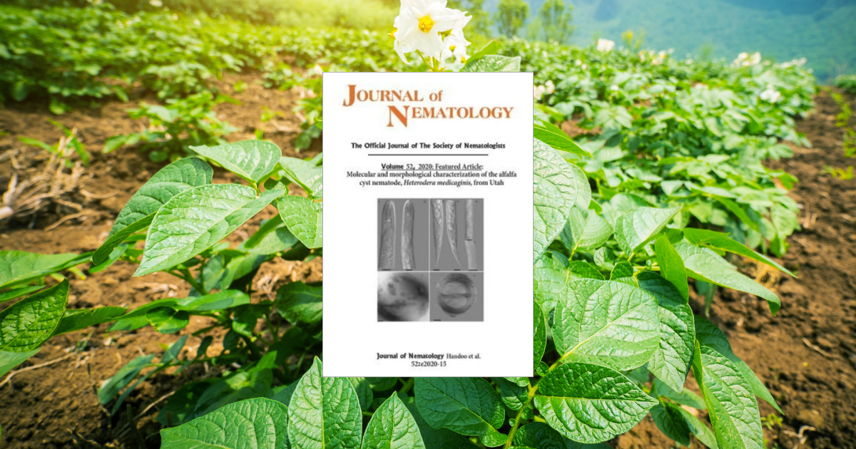 "Development of a Loop-Mediated Isothermal Amplification Assay for Rapid and Sensitive Detection of Globodera ellingtonae” published in the Journal of Nematology
