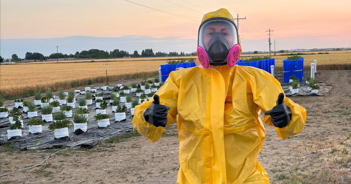 Research technician Zoe Park suited up in pesticide application PPE at the field research site.